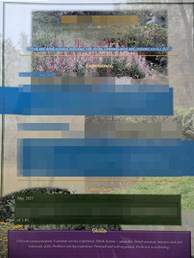 An incredibly amazing-looking resume